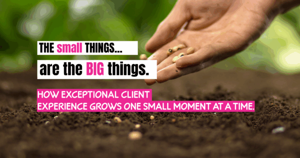 nu marketing client experience